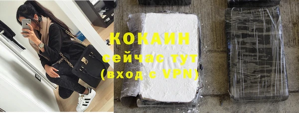 прущие грибы Богородицк